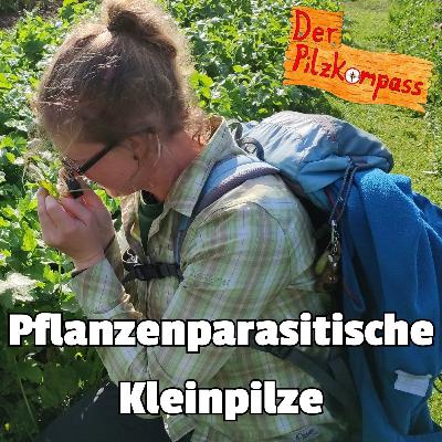 55 Pflanzen & Pilze - eine gefährliche Liaison? - Phytoparasitische Kleinpilze mit Dr. Julia Kruse