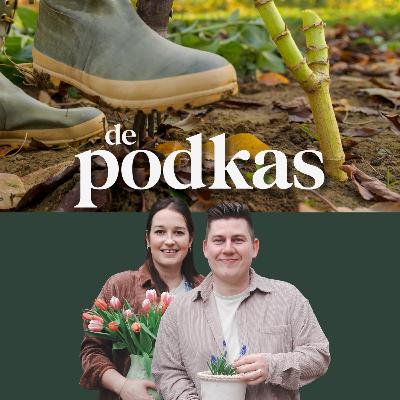 Dahlia's rooien en bewaren | Ontdek onze tips om je knollen de winter door te helpen! - De Podkas #S3E10