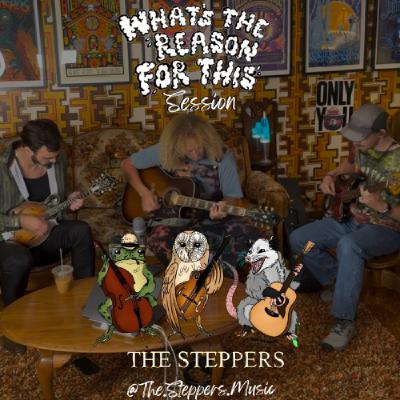 What's The Reason For This Session 4 - The Steppers