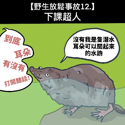 野生放鬆事故12. 下課超人