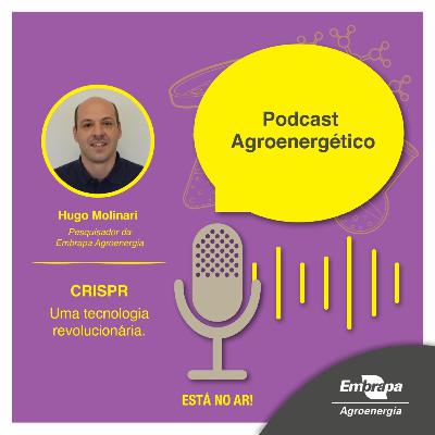 CRISPR - Uma tecnologia revolucionária - Hugo Molinari