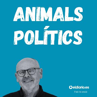 Ep. 6 - Contra el 9 d'Octubre