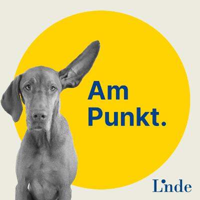 #160 - 3 Minuten Recht - Was bringt das GesDigG 2023?