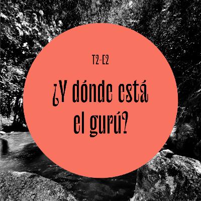 31 | ¿Y dónde está el gurú?