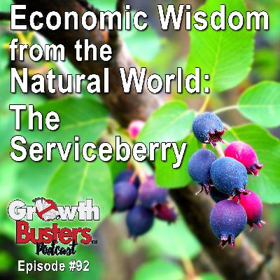 92: Economic Wisdom from the Natural World – The Serviceberry
