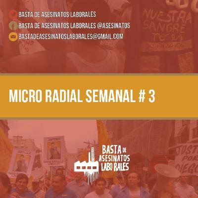 📻 🎙️ MICRO RADIAL BAL #3 / Agosto 2020