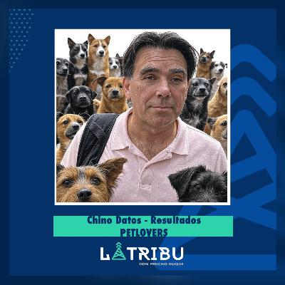 Chino Datos - Resultados PETLOVERS