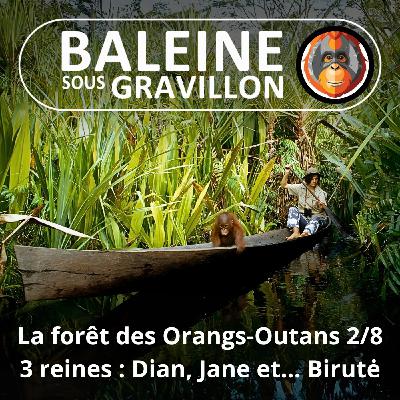 S07E114 Les Orangs-Outans 2/8 : La troisième reine (Emmanuelle Grundmann)