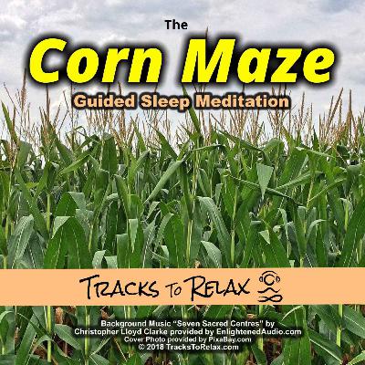 The Corn Maze Autumn Sleep Meditation