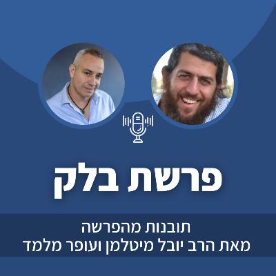פרק 39: פרשת בלק