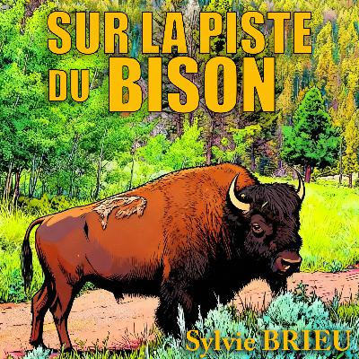 Immersion dans le Yellowstone avec Tom Murphy, photographe légendaire et fin connaisseur du bison