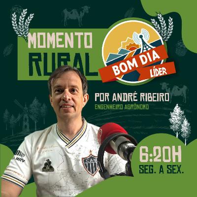 Programa Momento Rural