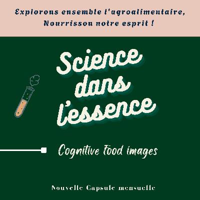 Cognitive food images : Science dans l'essence !