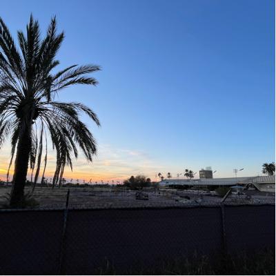 Haunted Forest What A Horrible Night To Have A Curse Haunted Forest What A Horrible Night To Have A Curse