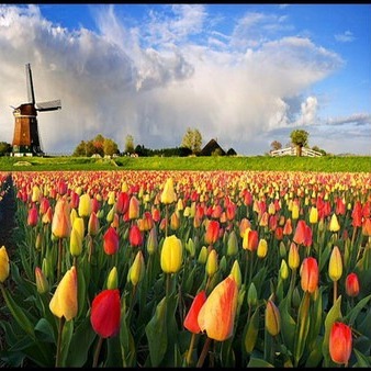 TƯ VẤN TÌNH IU_ crush; tình yêu đại học; lo cho trai, nuôi trai, vv.... _))