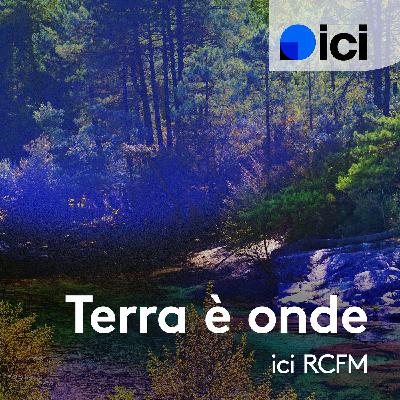 Terra è onde