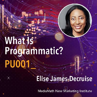 001 What Is Programmatic Marketing and Why Marketers Should Care with Elise James-DeCruise