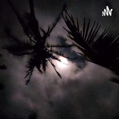 Cambiando el mundo, un parto a la vez.