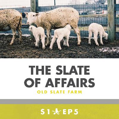 The Slate of Affairs