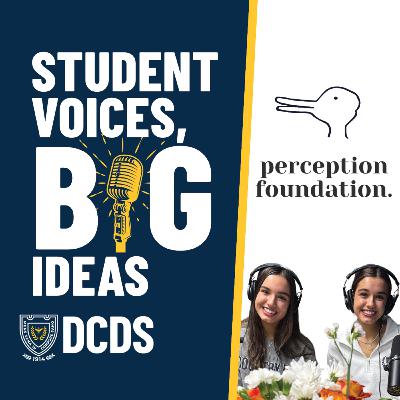 The Perception Foundation Story: Building a New Normal