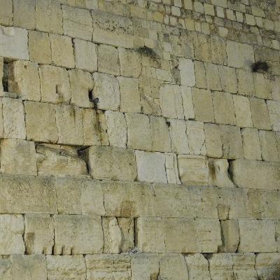 Episode 275: מחצית השקל Episode 275: מחצית השקל