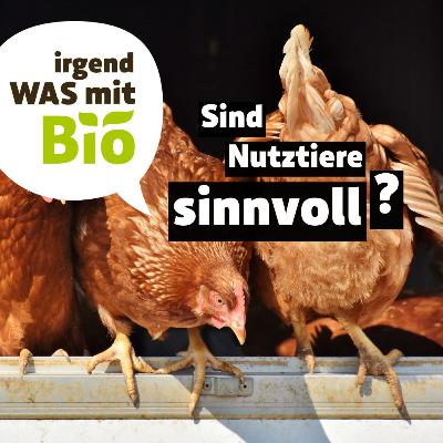 62 - Sind Nutztiere sinnvoll?
