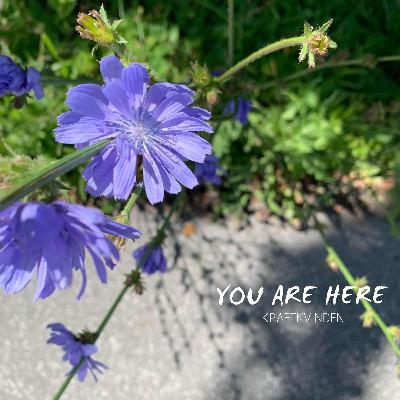 YOU ARE HERE