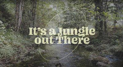 MRCC Church Online || 7-30-23 || "It's A Jungle Out There" || David Aaby