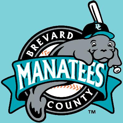 Brevard County Manatees