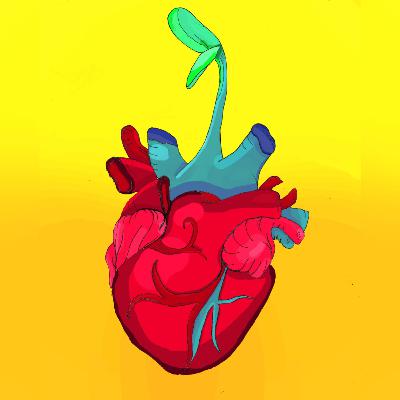 Semillas y brotes Semillas y brotes