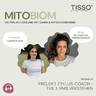 #54 Projekt Zyklus-Coach – Teil 1: PMS verstehen