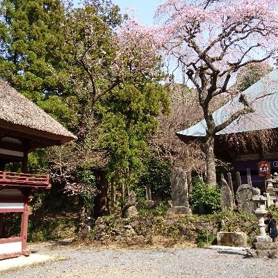 Zhuge Liang - Genius strategist Zhuge Liang - Genius strategist