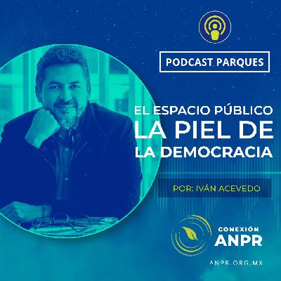 El Espacio Público: La Piel de la Democracia