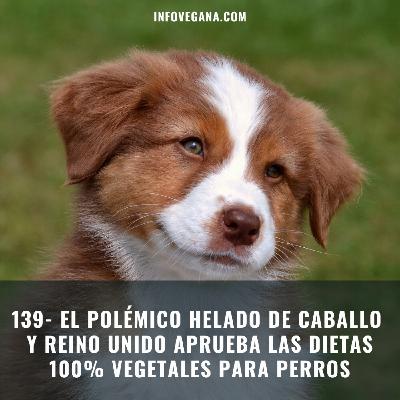 139- EL POLÉMICO HELADO DE CABALLO Y REINO UNIDO APRUEBA LAS DIETAS 100% VEGETALES PARA PERROS | Infovegana 139- EL POLÉMICO HELADO DE CABALLO Y REINO UNIDO APRUEBA LAS DIETAS 100% VEGETALES PARA PERROS | Infovegana