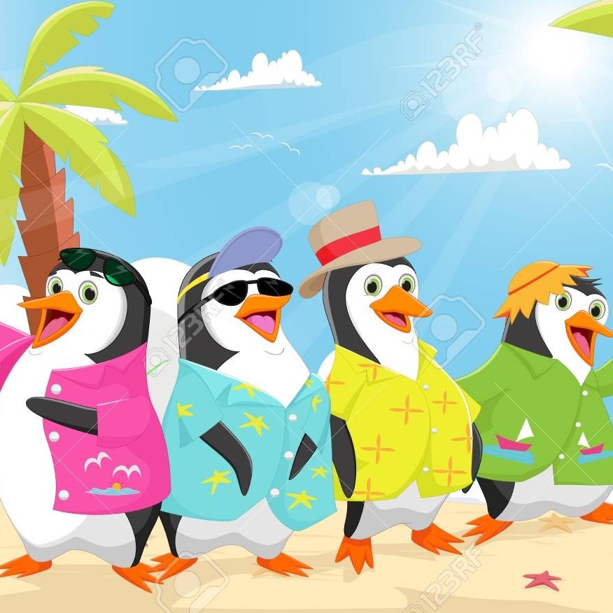 #live Tropical penguins #14