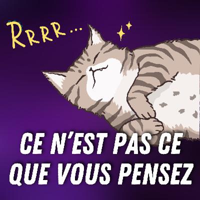 Pourquoi les chats ronronnent-ils ? 😽