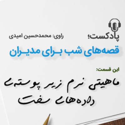 ماهیتی نرم زیر پوسته داده‌های سخت