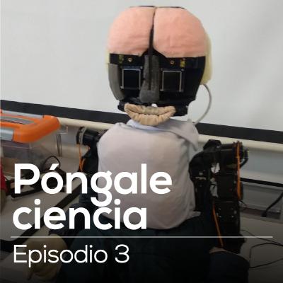 Robótica social para el autismo