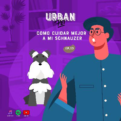 Ep. 13 - Cómo cuida mejor a mi schnauzer