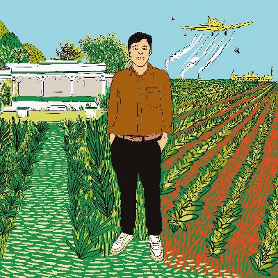 Desnormalizar la vulneración