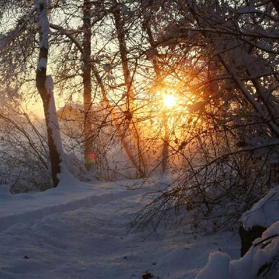 Karmles hage: Trosbekjennelsen 43 | Barnlig tillit og overgivelse