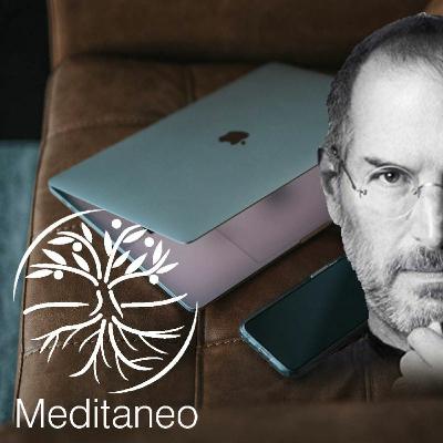 Steve Job se trompait: Ne suivez pas votre passion!