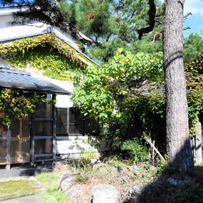 10月30日 AI編集長の前日ピックアップニュース