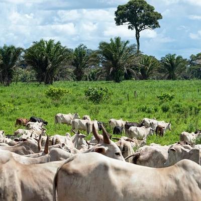 Mercosur latest Mercosur latest
