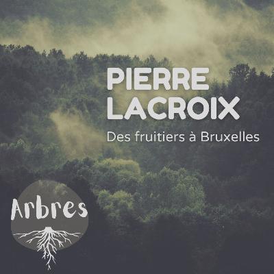 Pierre Lacroix - Des fruitiers à Bruxelles