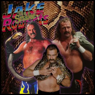 TTP 36 The Best Of Jake The Snake Roberts, Highs And Lows From AEW Double Or Nothing from 2019