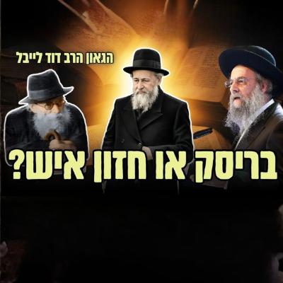 תורת בריסק או תורת חזון איש? הגר״ד לייבל בשיעור מיוחד על דרך הלימוד - פרשת יתרו תורת בריסק או תורת חזון איש? הגר״ד לייבל בשיעור מיוחד על דרך הלימוד - פרשת יתרו