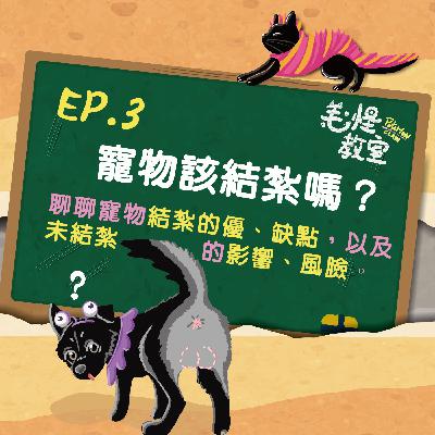 EP.3 寵物該結紮嗎？→ 聊聊寵物結紮的優缺點，以及未結紮的影響、風臉。