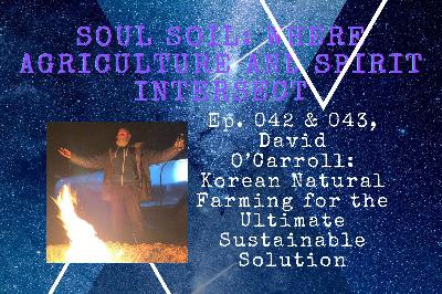 043, David O’Carroll: Korean Natural Farming for the Ultimate Sustainable Solution (continued)