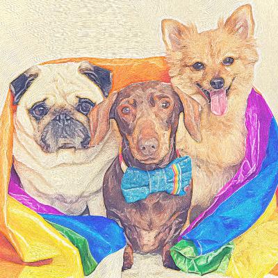 #3: Meet the Infurrluencers - Part 1 (The Dog Agency) #3: Meet the Infurrluencers - Part 1 (The Dog Agency)